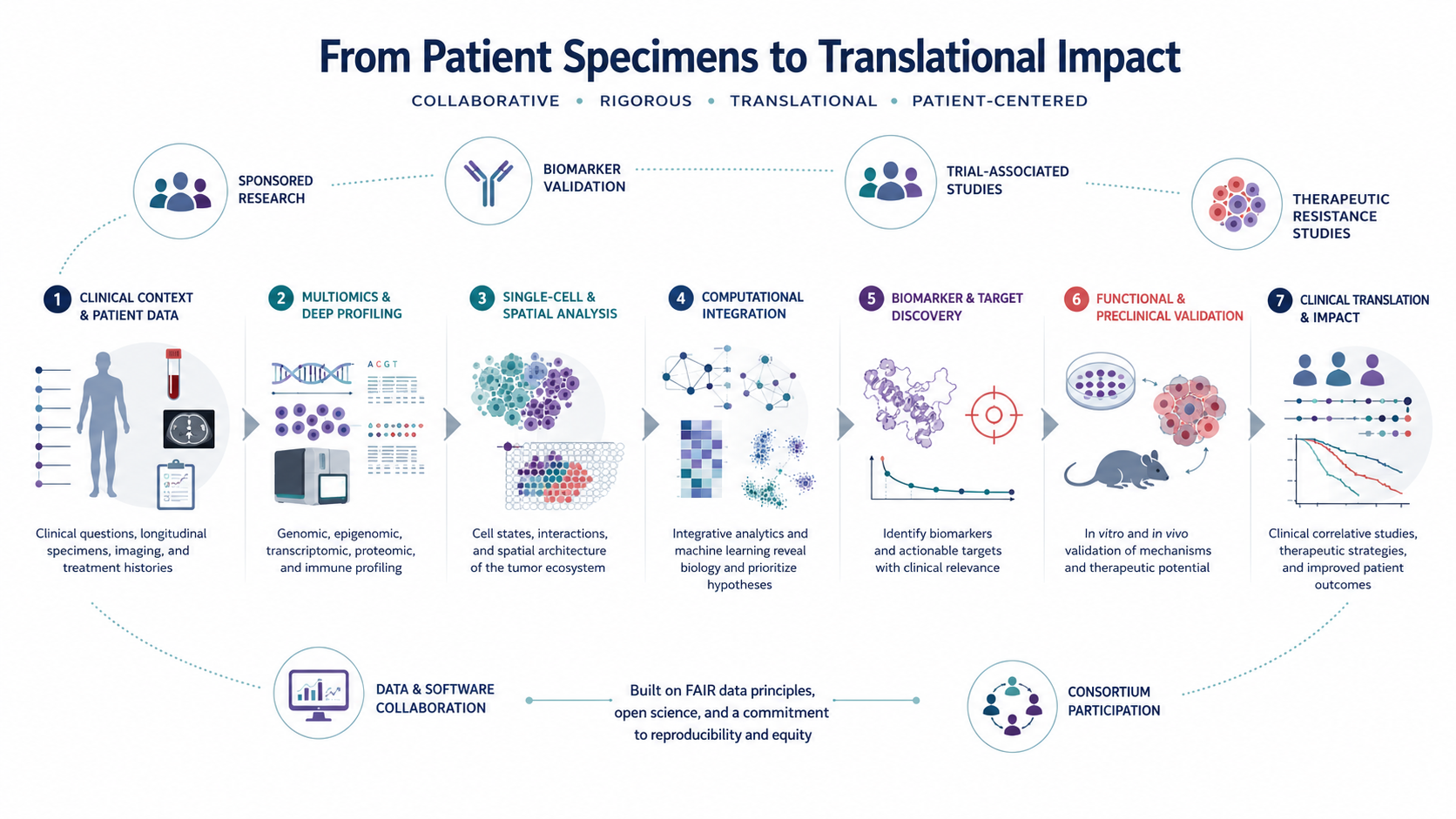 Research workflow from clinical specimens through multiomics, single-cell and spatial analysis, computational integration, biomarker discovery, and preclinical validation to clinical translation.
