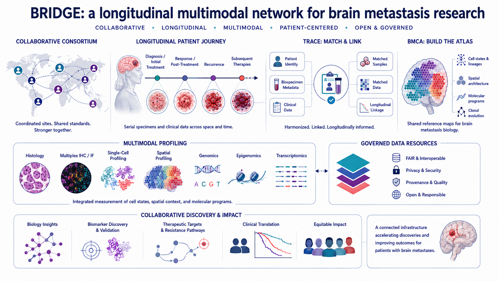 BRIDGE network diagram linking an international consortium, longitudinal patient journey, TRACE sample matching, BMCA atlas construction, multimodal profiling, and governed data resources.