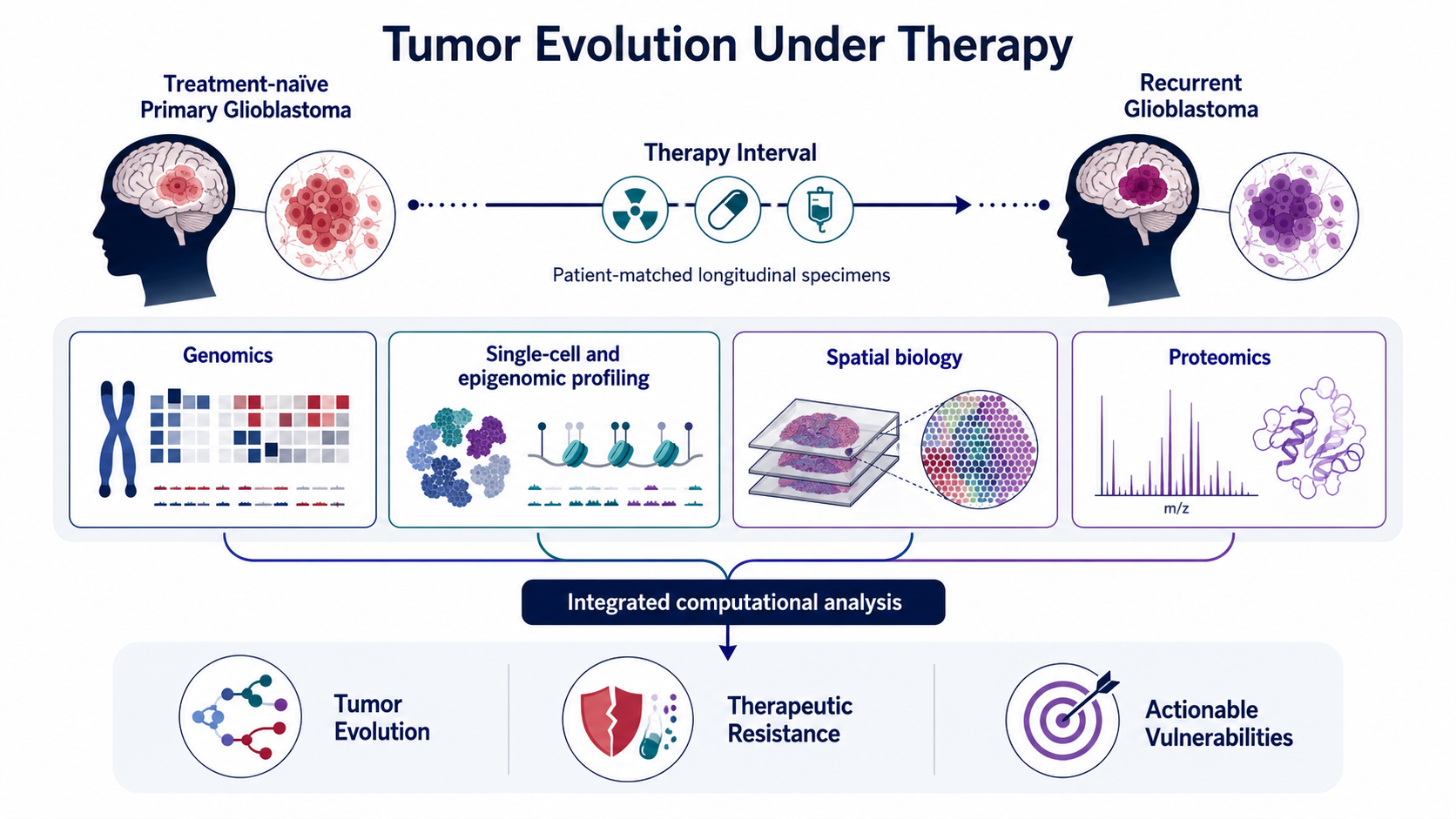 Paired primary and recurrent glioblastomas connected across a therapy interval to genomic, single-cell, spatial, and proteomic profiling and integrated analysis.